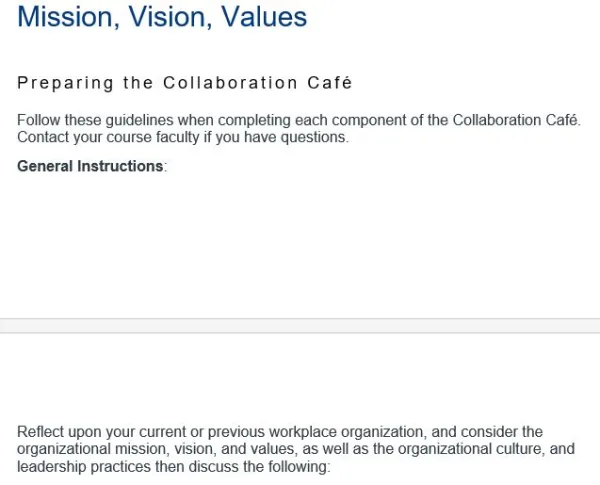 NR582NP Week 4 Collaboration Café Mission, Vision, Values