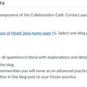 NR586NP Week 2: Collaboration Cafe Health-Related Issue