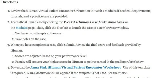 NR305 Week 6 Assignment Anna Sink iHuman Virtual Patient Encounter Case