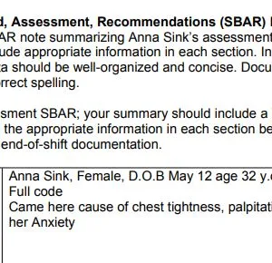 NR305 Week 6 Assignment Anna Sink iHuman Virtual Patient Encounter Case