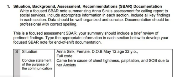 NR305 Week 6 Assignment Anna Sink iHuman Virtual Patient Encounter Case