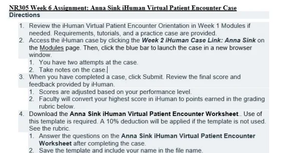 NR305 Week 6 Assignment Anna Sink iHuman Virtual Patient Encounter Case