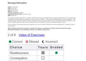 NR305 Week 6 iHuman Case Anna Sink