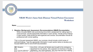 NR305 Week 6 iHuman Case Anna Sink Encounter worksheet