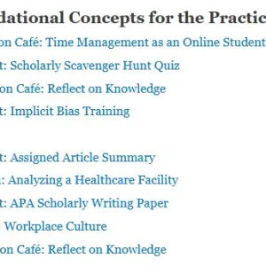 NR351 Foundational Concepts for the Practicing RN