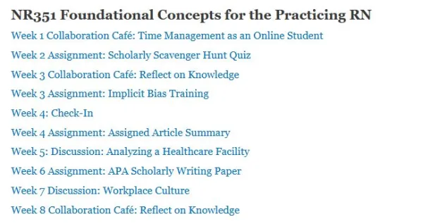 NR351 Foundational Concepts for the Practicing RN