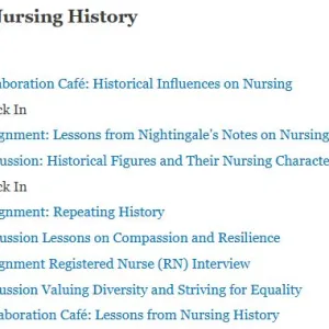 NR393 Nursing History