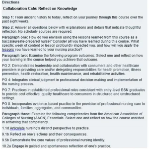 NR393 Week 8 Collaboration Café Lessons from Nursing History