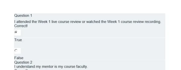 NR436 Week 2 Practicum Mentorship and Project Check-In - Image 3