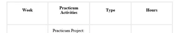 NR436 Week 2 Practicum Mentorship and Project Check-In