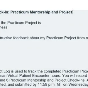 NR436 Week 3 Check-In Practicum Mentorship and Project