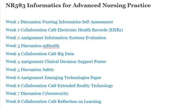 NR583 Informatics for Advanced Nursing Practice