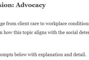 NR447 Week 7 Discussion Advocacy