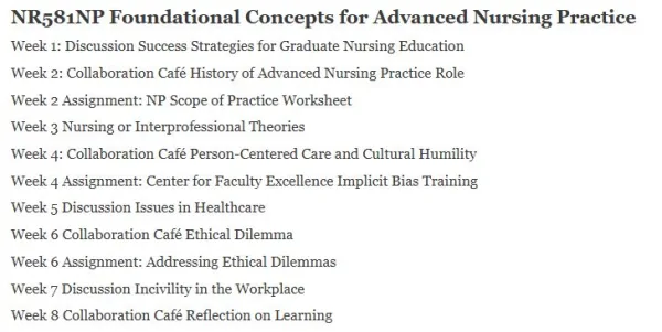 NR581NP Foundational Concepts for Advanced Nursing Practice