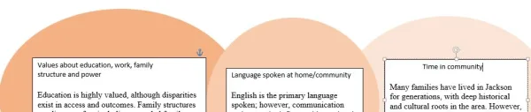 NR717 Week 1 Discussion Leading Culturally and Linguistically Appropriate Healthcare_