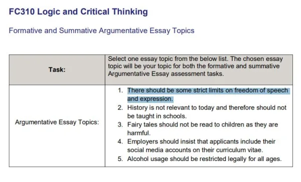 FC310 Summative Essay