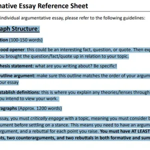 FC310 Summative Essay