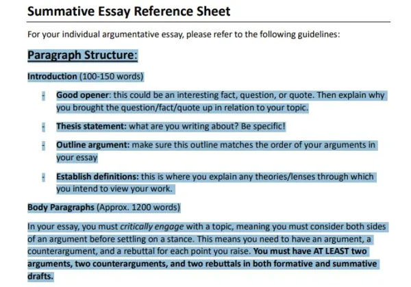 FC310 Summative Essay