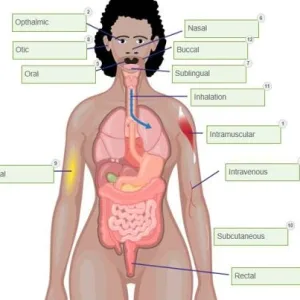 NR293 Pharmacology for Nursing Practice