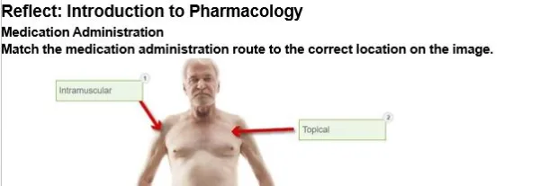 NR293 Pharmacology for Nursing Practice