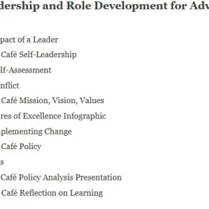 NR582NP Leadership and Role Development for Advanced Nursing Practice