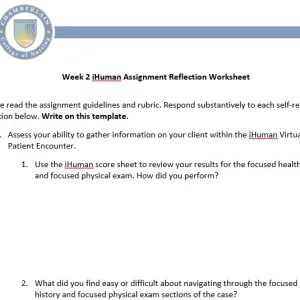 NR509 Week 2 iHuman Assignment Reflection Worksheet