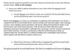 NR509 Week 2 iHuman Assignment Reflection Worksheet