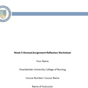 NR509 Week 6 Bebe Babbitt iHuman Case Study Reflection 2