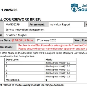 MANG6279 Service Innovation Management Analysis of WeWork's Service Innovation Model